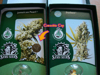 pastille-cannabiscup-sensiseeds